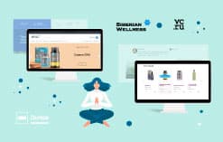 3 эффективных решения при масштабировании e-commerce продукта на зарубежном рынке